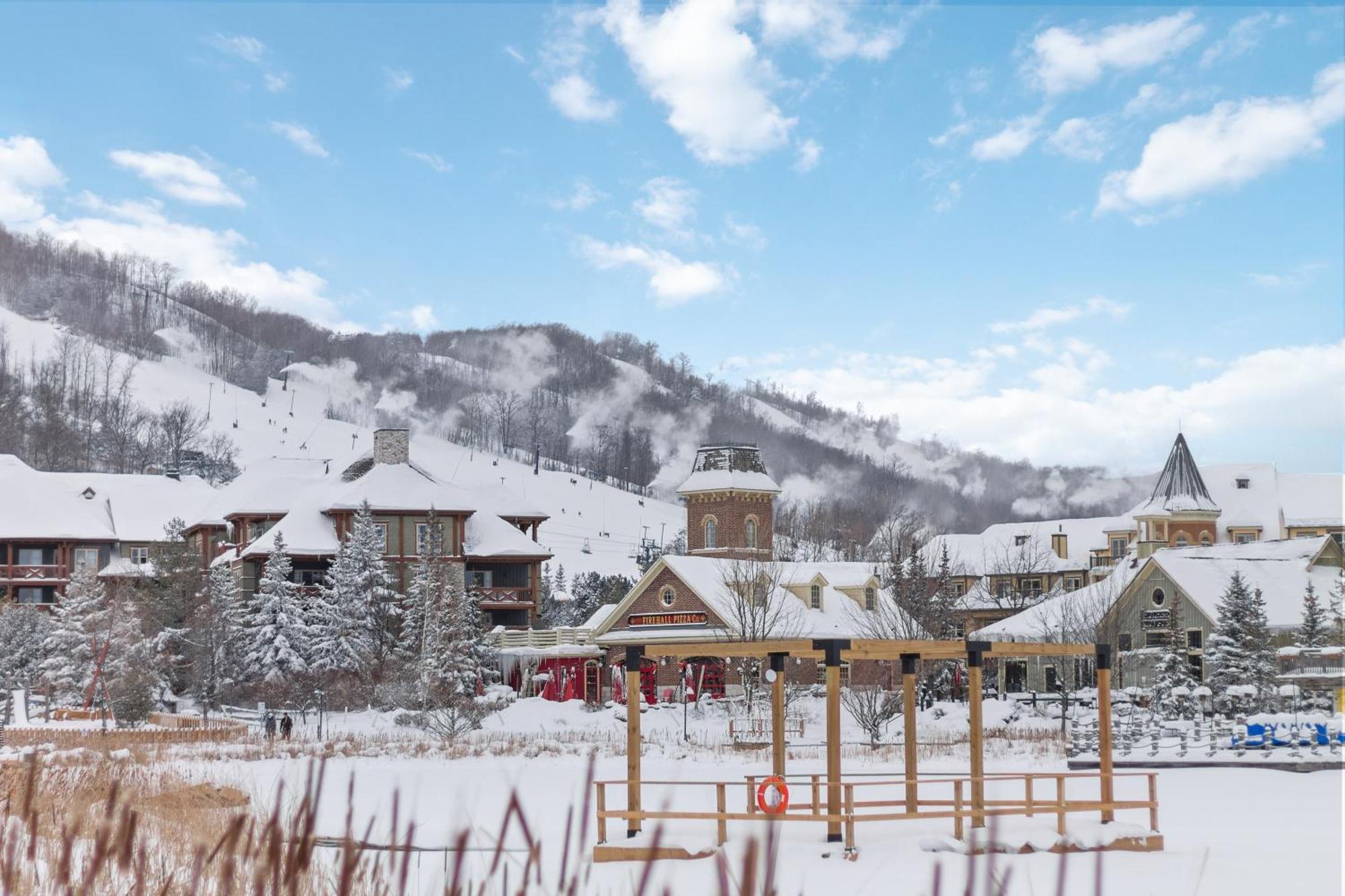 Blue Mtn Getaway In Historic Snowbridge Chalet Villa Collingwood Exterior photo