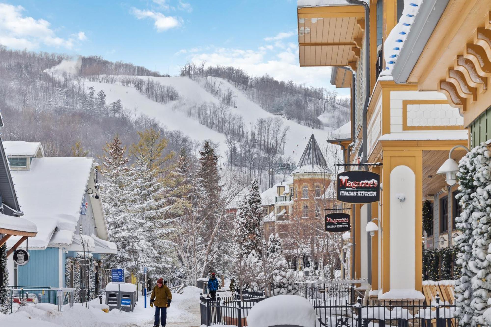 Blue Mtn Getaway In Historic Snowbridge Chalet Villa Collingwood Exterior photo