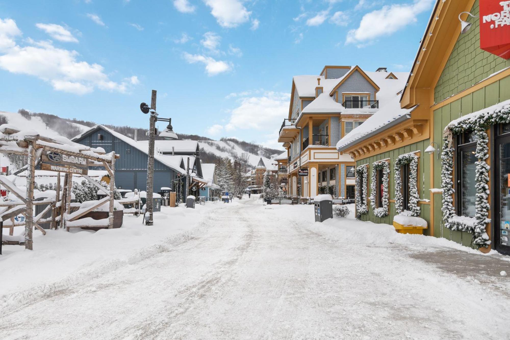 Blue Mtn Getaway In Historic Snowbridge Chalet Villa Collingwood Exterior photo